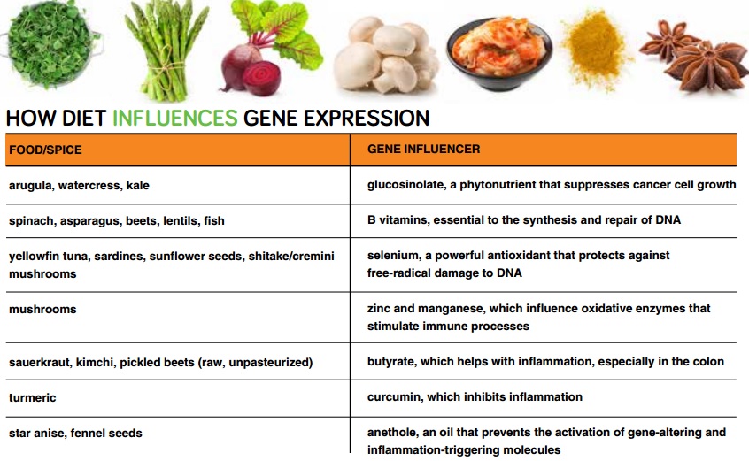 Gene-Diet