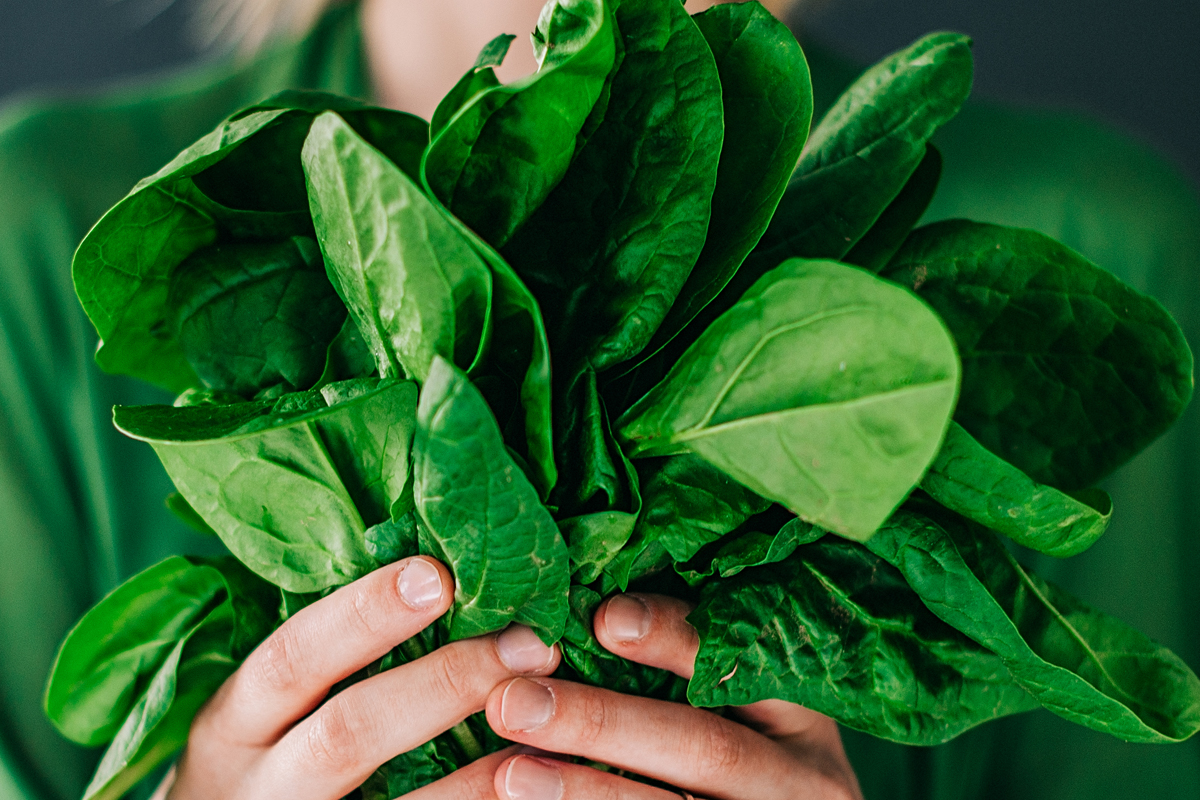 Spinach Fiber