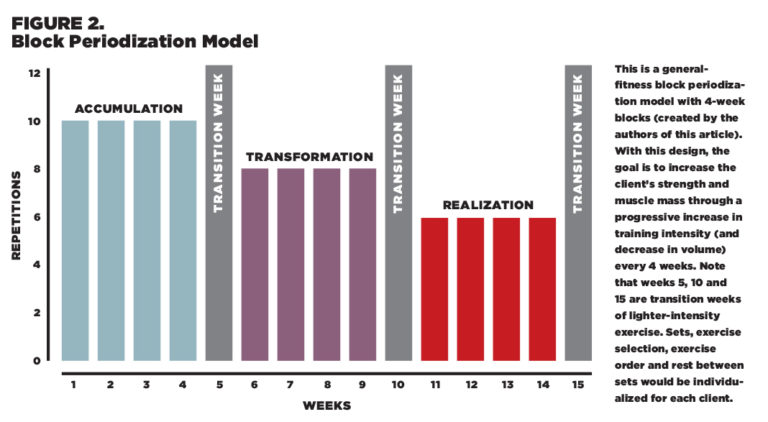 linear-periodization-lydiard-method-training-blog-running-niche