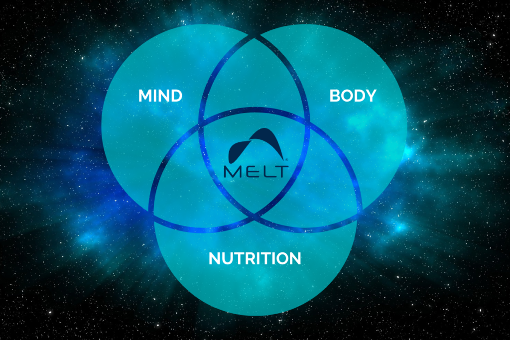 MELT Method: The Missing Dimension in Wellness - IDEA Health & Fitness  Association