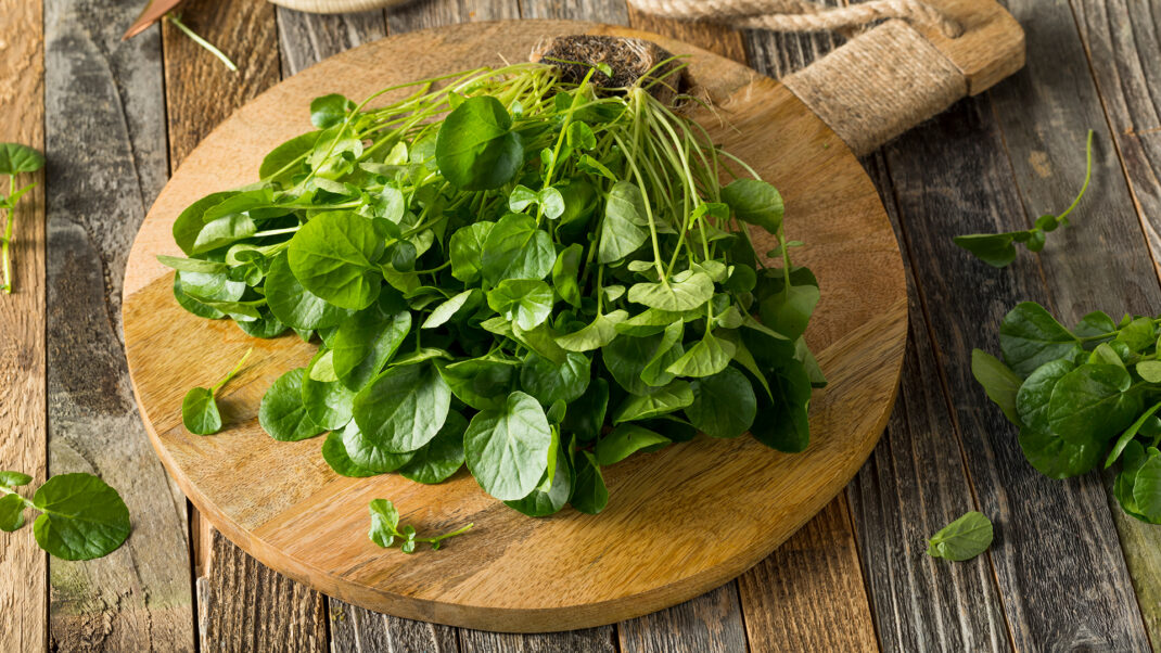 Nutrients in Leafy Greens