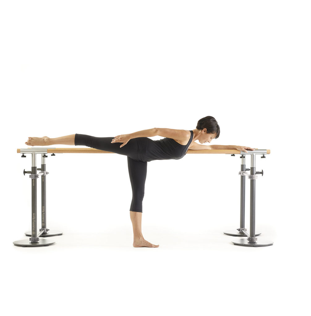 Michelle Austin - Founder & CEO - Fluidity Barre